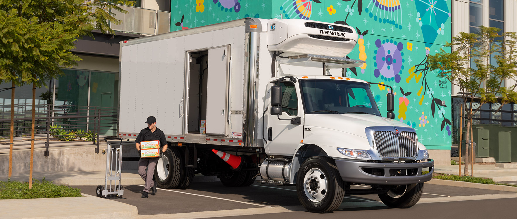 Person delivering fresh produce to business using a Refrigerated Cold Star with sidedoor access