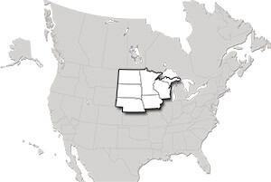 Regional Sales Manager